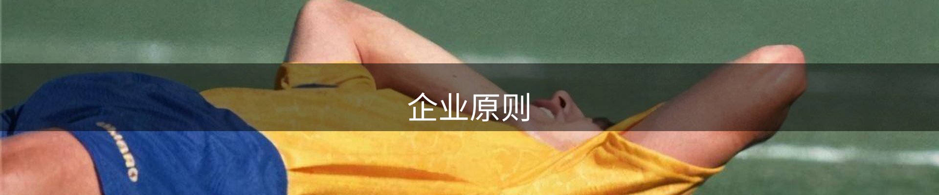 企业原则